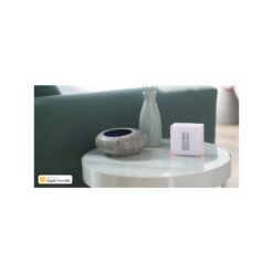 termostato-netatmo-4